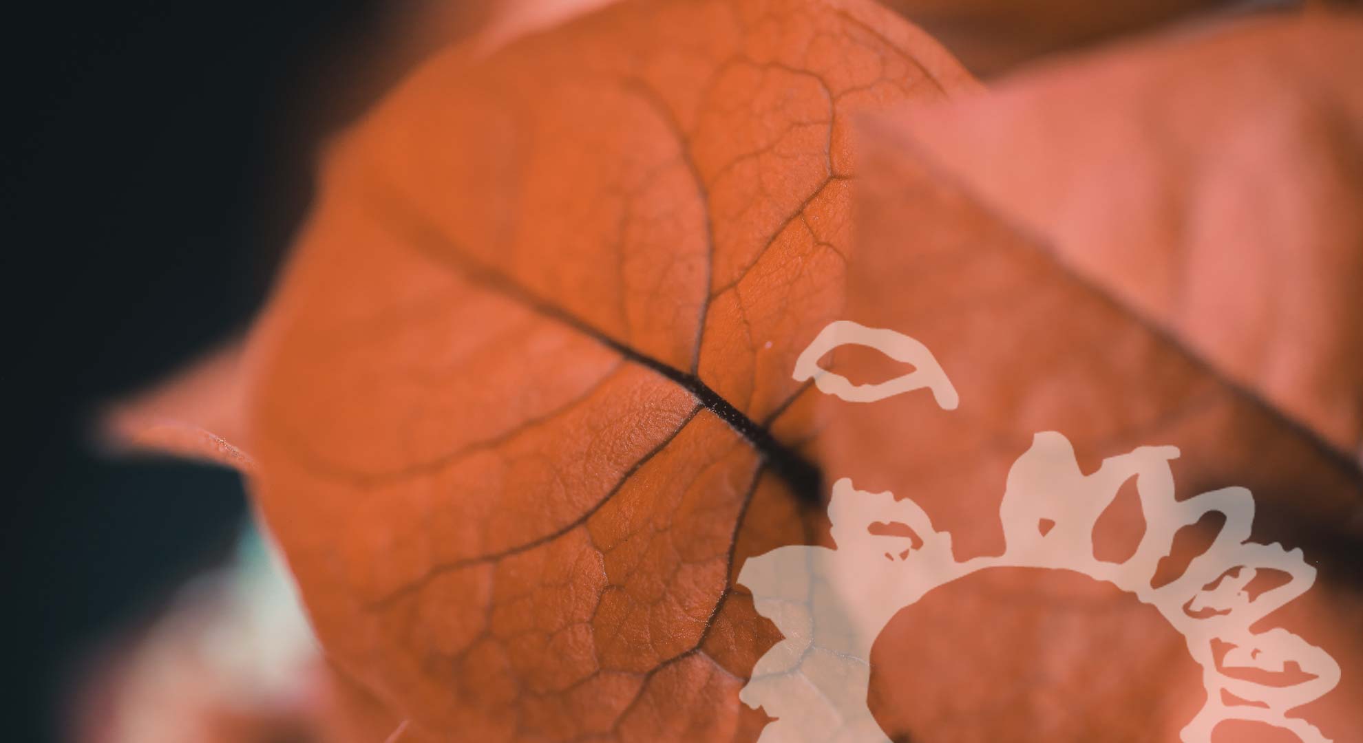 10 Hospiz Home - physalis -