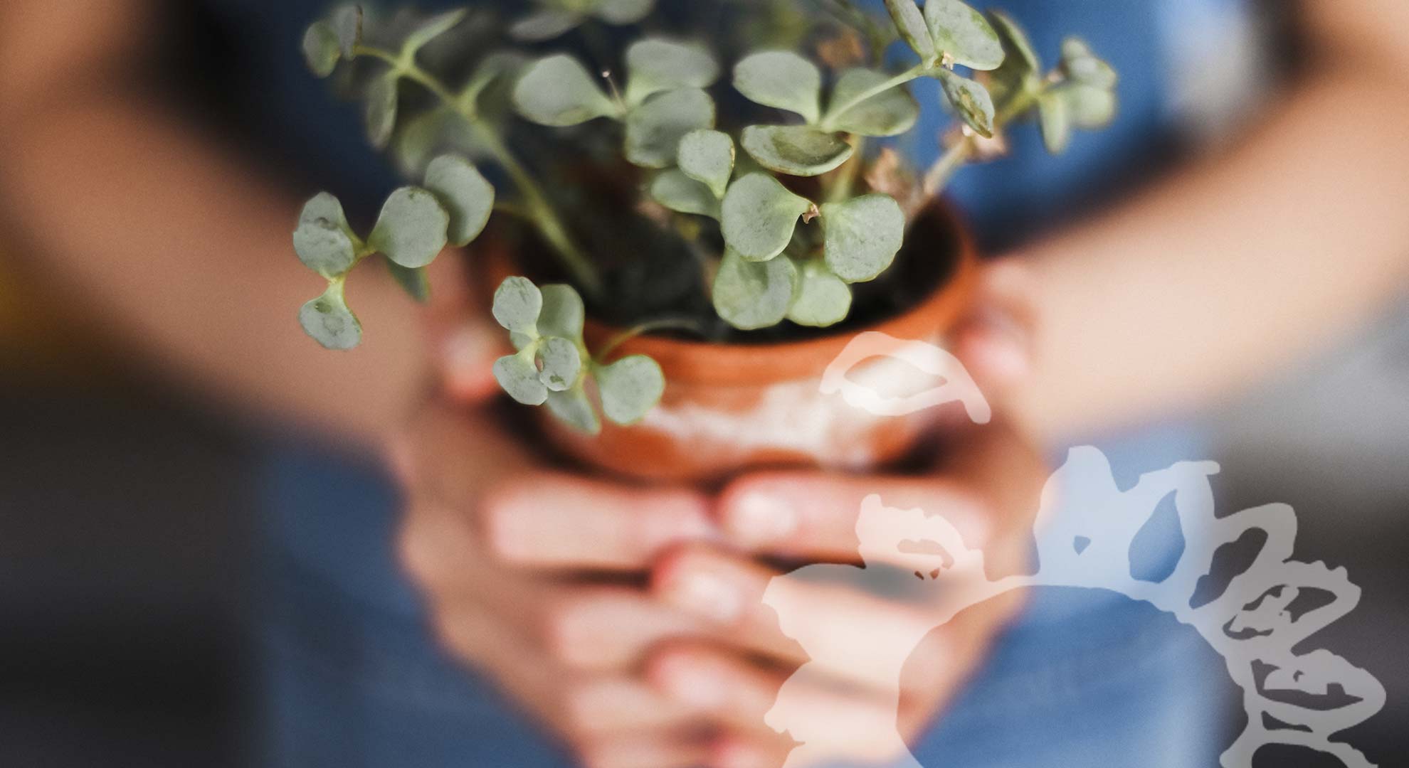 09 Hospiz Home - hand blumentopf -