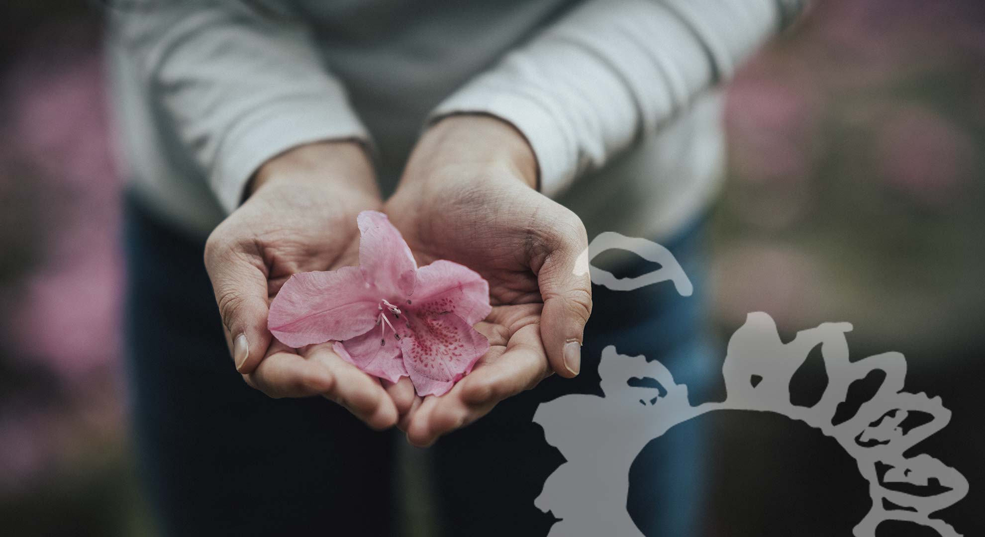 06 Hospiz Home - hand orchidee -