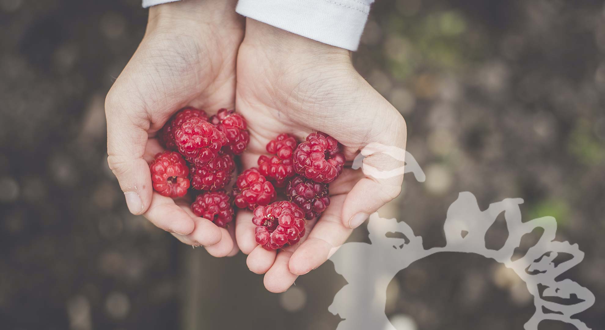 15 Hospiz Home - hand beeren -